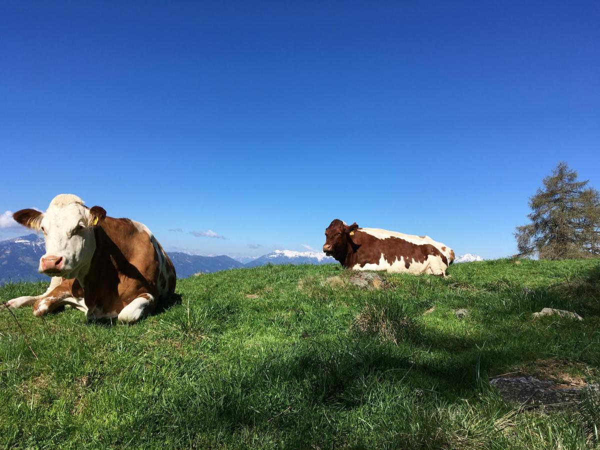 Appartement Zirbenduft Ferienhaus Fuenf Sinne Döbriach Esterno foto