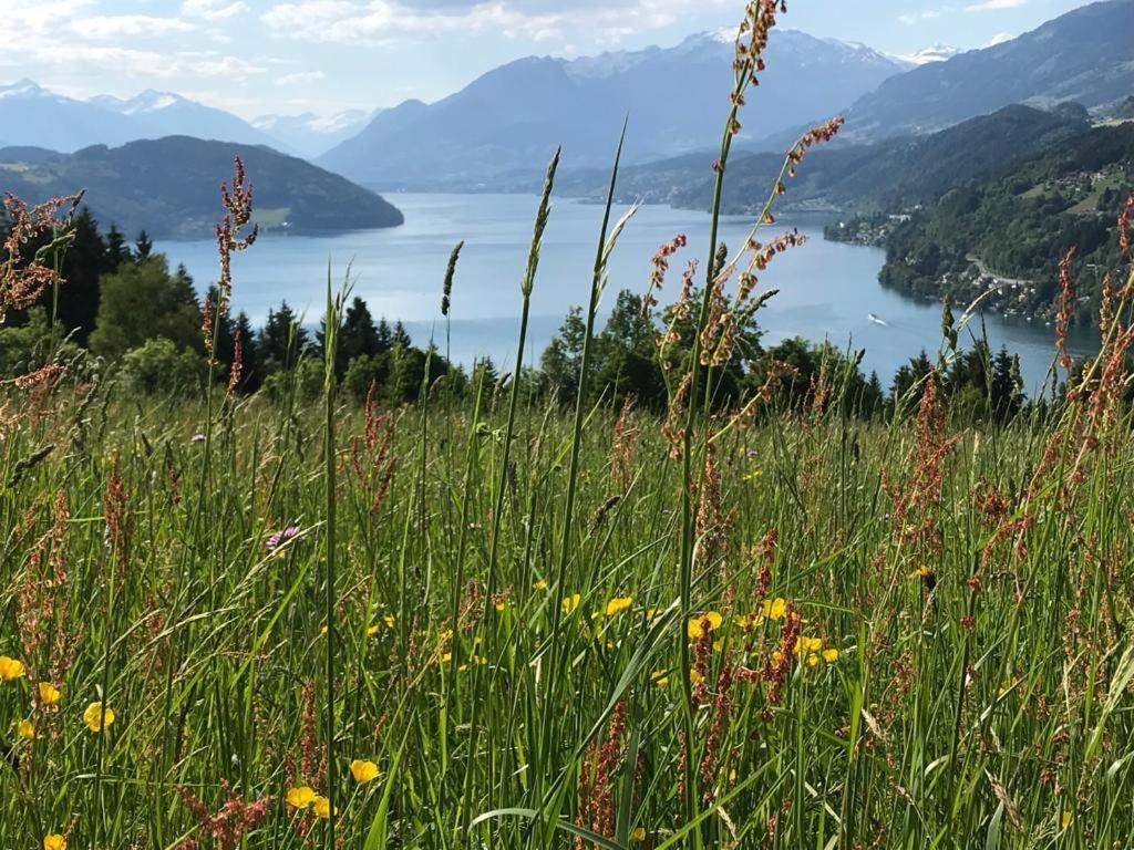 Appartement Zirbenduft Ferienhaus Fuenf Sinne Döbriach Esterno foto